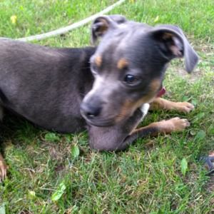 Meet your Posher, Christina